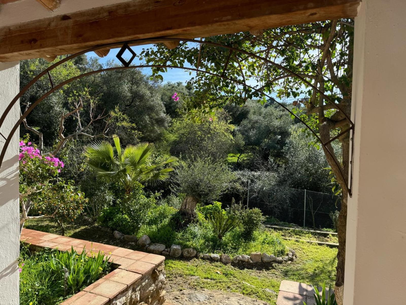 Villa la fontana Cortes de la Frontera Exterior foto
